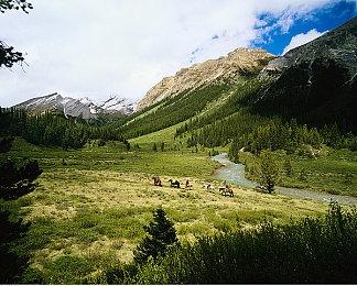 《街霸V》再掀格斗潮 中国顶级电竞格斗比赛拉开帷幕 